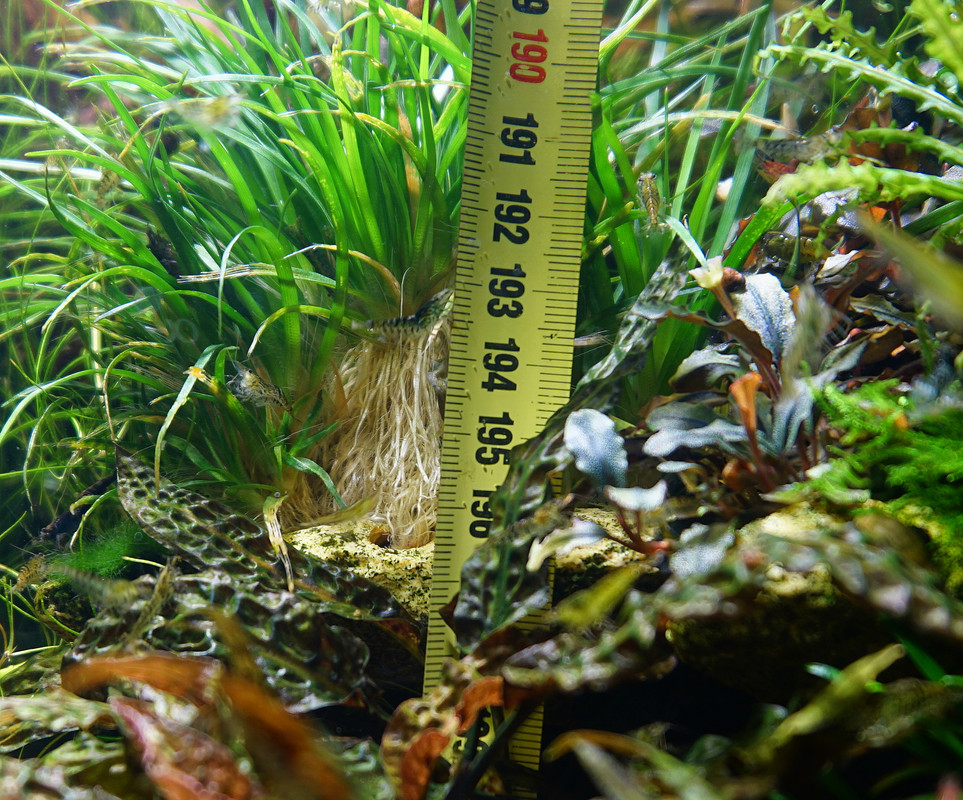 въетнамDSC06145